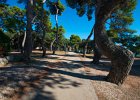 2013 09- D8H4375 : Petrcane, Zadar, semester, utlandet